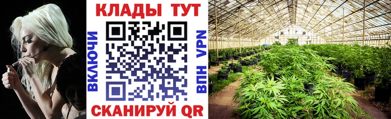 ГАШ Кинель