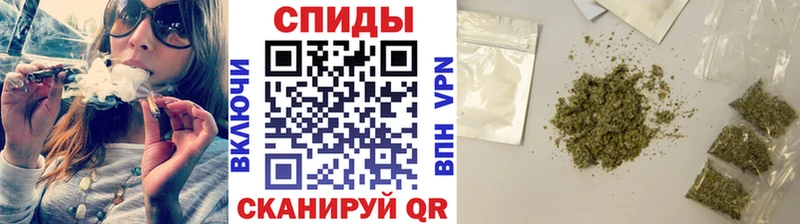 цена   Кинель  Бутират Butirat 