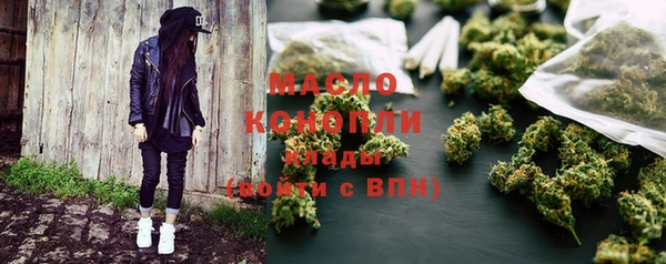гидра Верхний Тагил