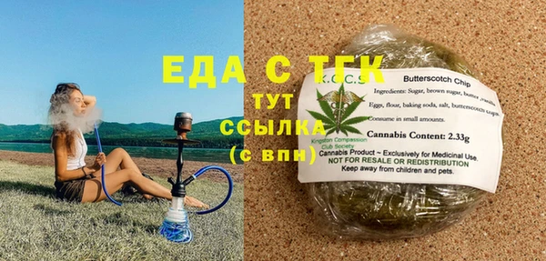 гидра Верхний Тагил