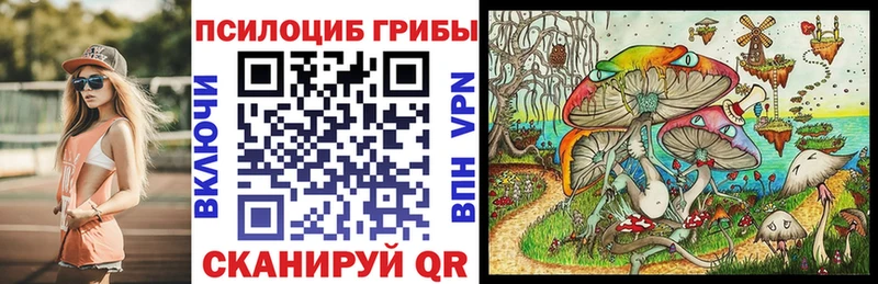 где купить наркоту ссылка на мегу ссылки Галлюциногенные грибы MAGIC MUSHROOMS Кинель